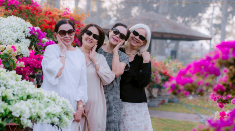 Show Off Your Smile Again waxahachie tx